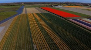 PLANET WONDERS 8K HDR VIDEO ULTRA HD   TV HDR REAL TEST DOLBY