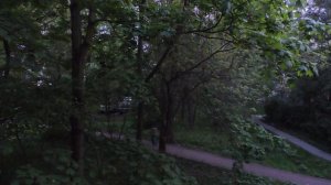 Вид из окна, май 2026, соловей.