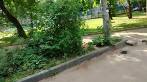 Иду по улице.