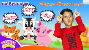 Звуки Животных 🐮 # Весёлая Детская Песня для Изучения Звуков Животных! - Kuku и Cucudu🎵