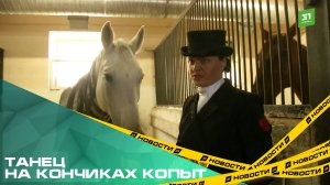 Танец на кончиках копыт. В Челябинске прошли соревнования по самому элегантному конному спорту
