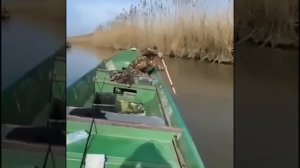 Вот такой способ рыбалки