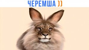 1000 5D-МЕМОВ! )))