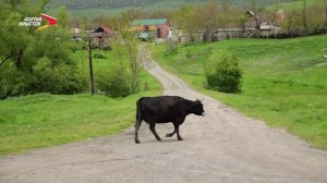Хæдзарадон I 22.05.2026