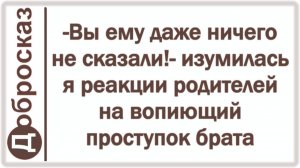 -Вы ему даже ничего не сказали!- изумилась я реакции родителей на вопиющий проступок брата