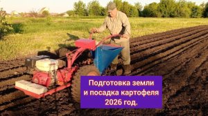 посадка картофеля мотоблоком МТЗ с картофелесажалкой. обработка почвы фрезой.