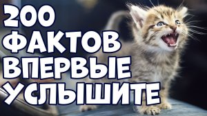200 ШОКИРУЮЩИХ ФАКТОВ, КОТОРЫЕ ВЫ УСЛЫШИТЕ ВПЕРВЫЕ