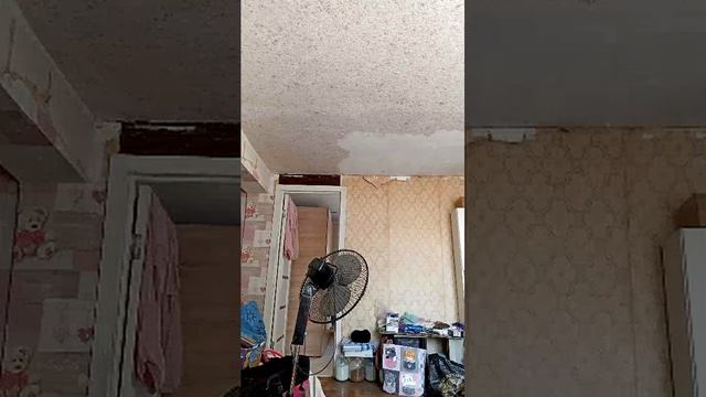 змея утро