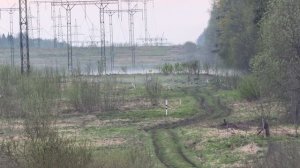 Видео Природа