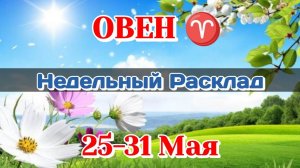 ОВЕН♈ Недельный расклад 25 - 31 МАЯ /Таро Прогноз/Сферы жизни