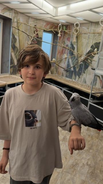 18-05-2026. Попугай 🦜 породы Жако. смотреть онлайн