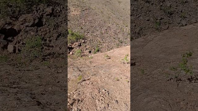 Как правильно проводить выходные в лесу