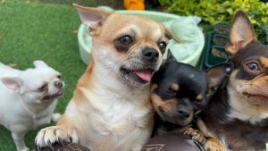 Очень вкусненько все с утра перекусили.