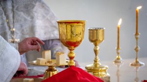 Божественная Литургия. Перенесение мощей Свт. Николая Чудотворца