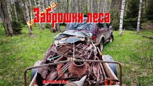 Коп металла / заброшки в лесу.