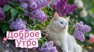 Доброе утро: желаю добра, мира и солнечного настроения | Домохозяйка