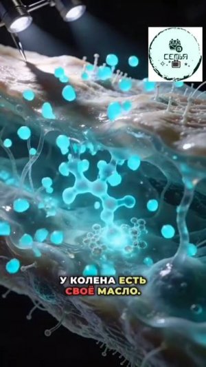 УПРАЖНЕНИЯ ДЛЯ СУСТАВОВ