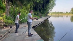 Видеоотчет с водоема.