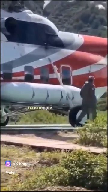 Не Русский боится МЕДВЕДЯ а наоборот МИША убегает смотреть онлайн