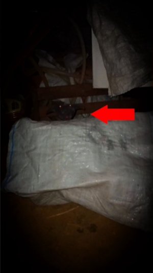 Жуткий демон прятался в заброшенном доме и крипово страшно