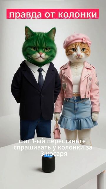 Инфоцыганский краш - как стать миллионером 🤪 Кактус и Кисляк жиза и отношения #юмор #котики