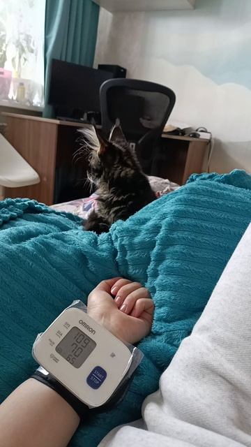 реакция кошки на звук