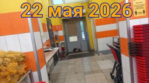 22 мая 2026. Майская повседневность...