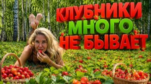 Где в центре Москвы купить недорогую клубнику.
