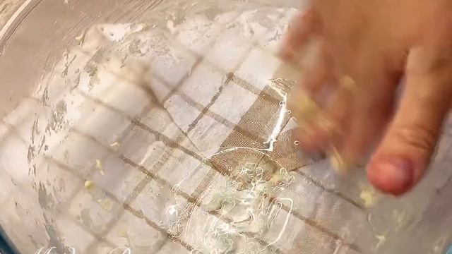 Булочки для бургеров. Семья будет в восторге! / burger #бургер #гамбургер #чизбургер #сдобныебулочки