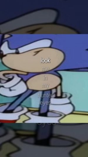 Hunter Eyes Sonic Edit