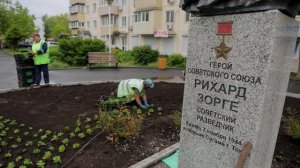 Почти 370 тысяч цветов украсят скверы и клумбы Владивостока в этом году.