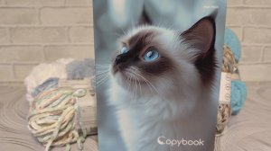 43/26 Подсела на слоников😄..Подарок..Новые игрушки из Софти Мега.