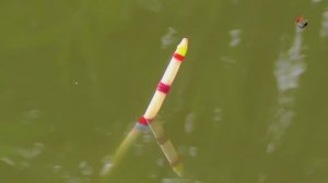 21.05.26 Бедринское озеро