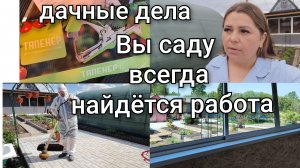 Наша дачная жизнь/Что купила на ярмарке/Садовый тапинер/Высаживаю розы и сливу.