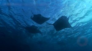 ЭТА МЕЛОДИЯ БУКВАЛЬНО ПРОНИЗЫВАЕТ ДО ГЛУБИНЫ ДУШИ!
