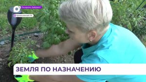 Новые правила для дачников вступили в силу в Приморье