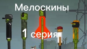 Мелоскины 1 серия. Дружбан хочет погулять.