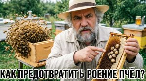 Как предотвратить роение: 5 шагов до появления маточников | Профессор Кашковский 🐝🛡️