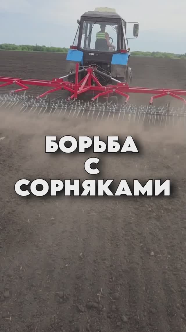 Как мы боремся с сорняком? #AUM #YogaFerma #сельскоехозяйство #ферма #поле #сорняк