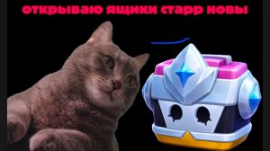 Открыл ящики старр новы