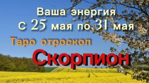 СКОРПИОН ваша энергия !💕с 25  по 31 мая ‼️ #гадание #таро #раскладтаро