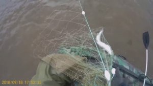 Рыбалка сетями, Лов лосося