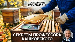 Дополнение кормов до 8 кг: секреты профессора Кашковского