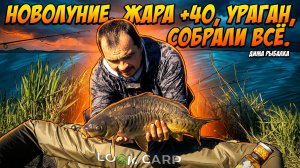 Новолуние, жара +40, ураган собрали всё