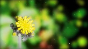 4K Nature Scene - FlowerM.G_01 - Free Stock Footage