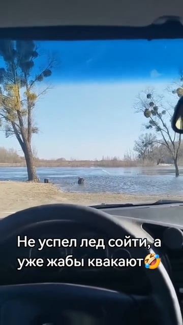 Клип @zatropheem