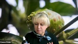 ТВОЯ ВОЛНА ЗДОРОВЬЯ, спикер - Елена Вовк