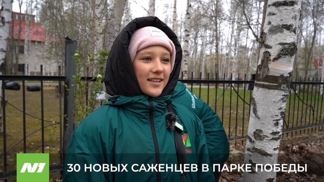 Высадка деревьев в парке Победы. Нижневартовск