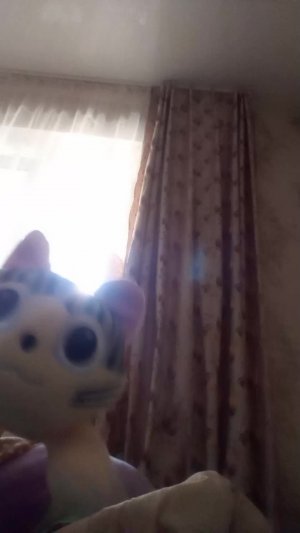 Я котик макса