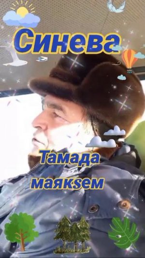 Синева 3
